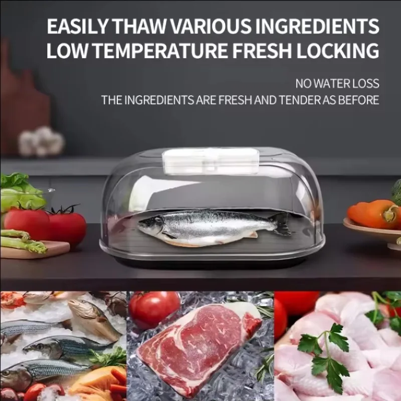 New Arrival Defrosting Tray Thawing Machine New Meat Defrosting Machine for Thawing Frozen Food