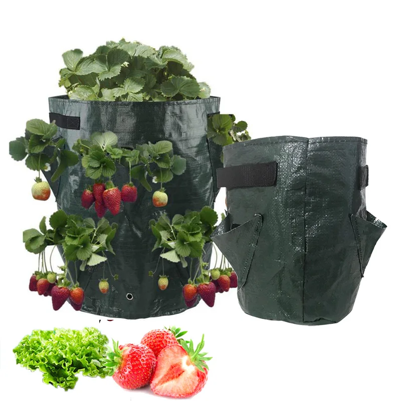 

5 7 10 Gallon PE Strawberry Planter grow Bags potato pot gardening pots home jardin Flower veg Tomato planting tools Container