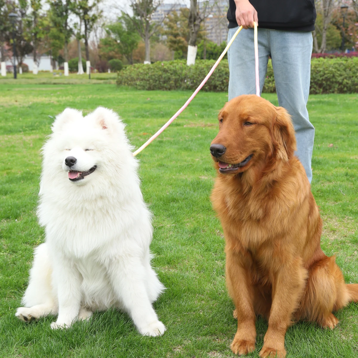 1PC Gradient Colorful Outdoor Multifunctional Dog Walking Small Dog Medium Dog Large Dog Dog Leash Round Rope Handle