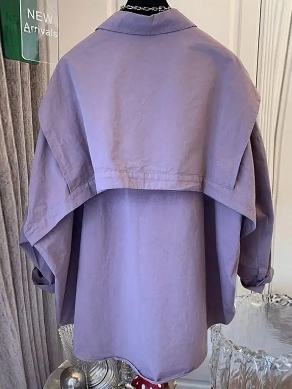 

Autumn Clothing for Women 2025 New Style Korean Fashion Shirt Niche Casual Top