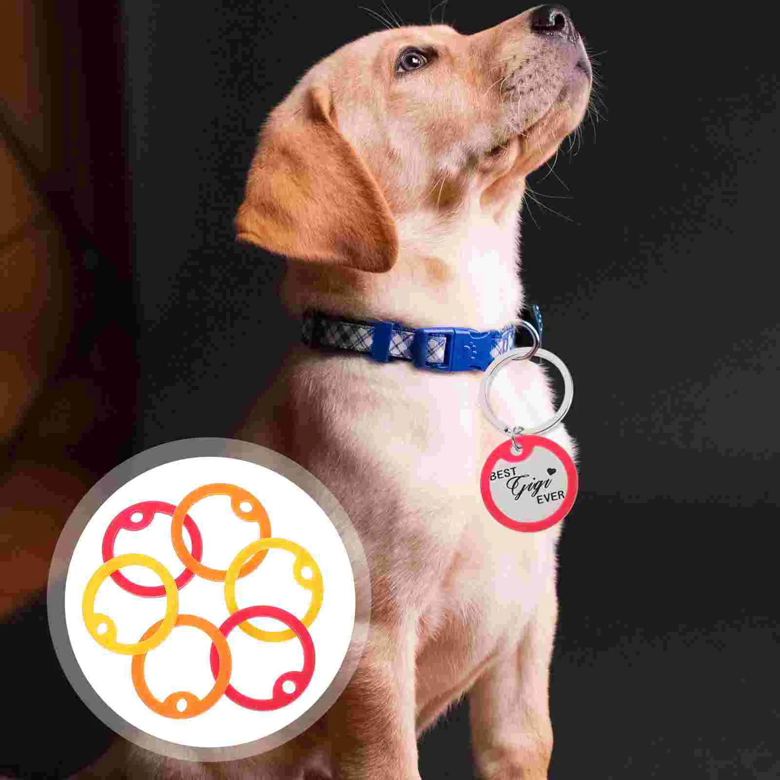 12 Pcs Dog Tag Muffler Ring Pet Supply Mute Hoop Silent Circle Name for Silica Gel