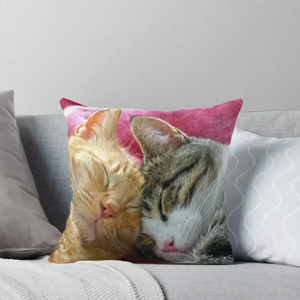 

Best Buddies Throw Pillow Cushions Cover pillows decor home Sofa Decorative Covers luxury covers pillow