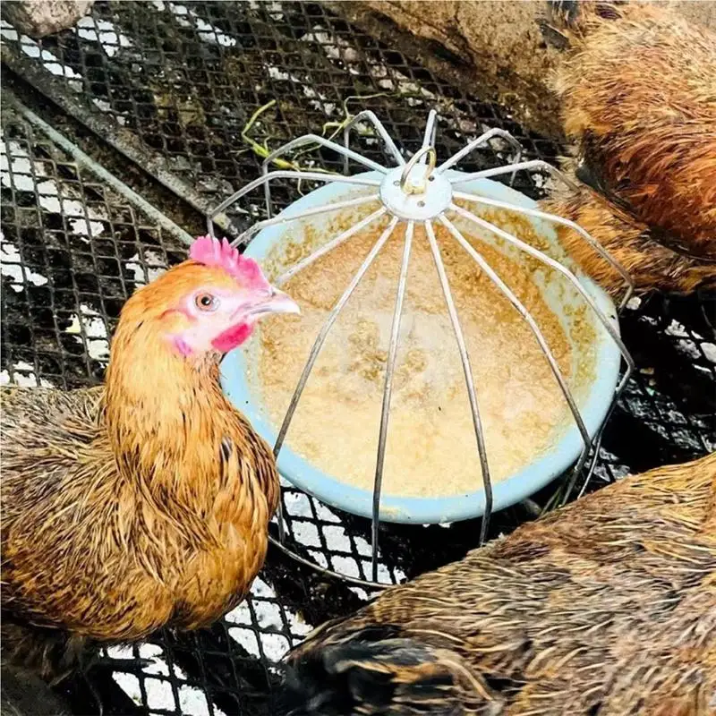 Chick Feeder For Cage Duck Feeder No Clutter Guard Chicks Feeding Tray Guard Portable Cage Chicken Feeder For Home Farm