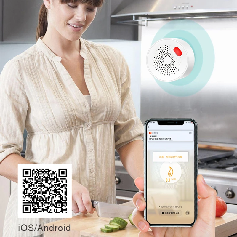 Smart Life Integration Alarm Detector Advanced Technology Fire Security Wifi Connectivity Natural Gas Detection Gas Leakage