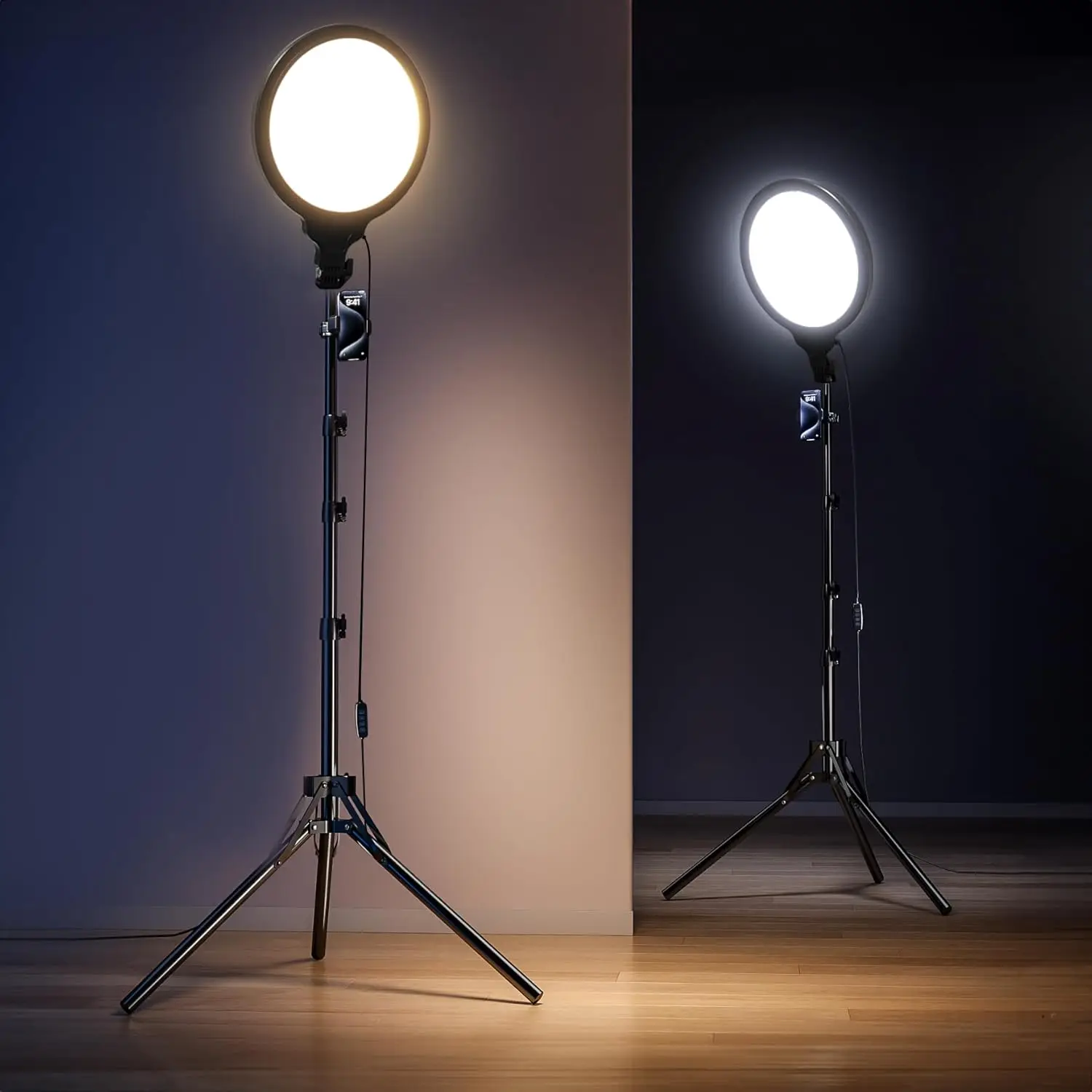 

Ring Light Tripod for iPhone, 10" Selfie Ring Light with Tripod Stand and Phone Holder, Professional LED Circle Lighting