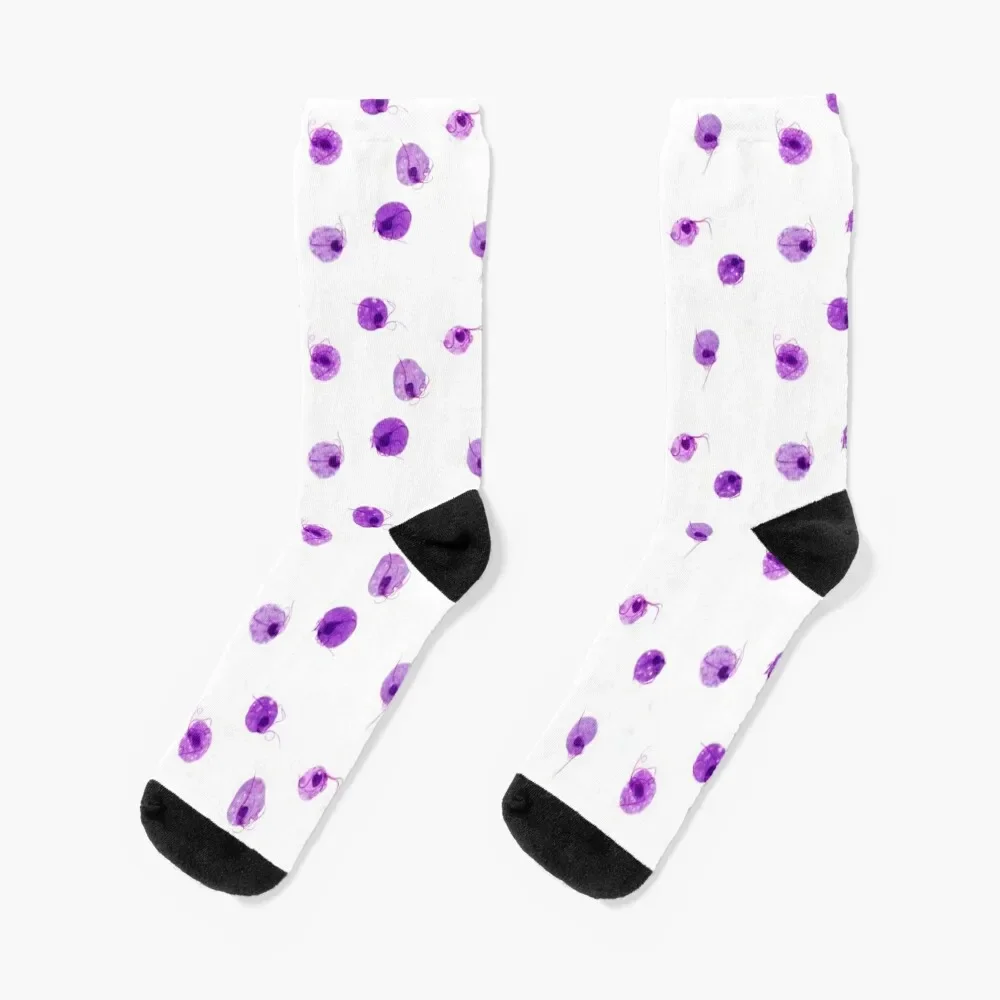 

Trichomonas vaginalis Socks Rugby luxury Heating sock compression Men Socks Luxury Brand Women's