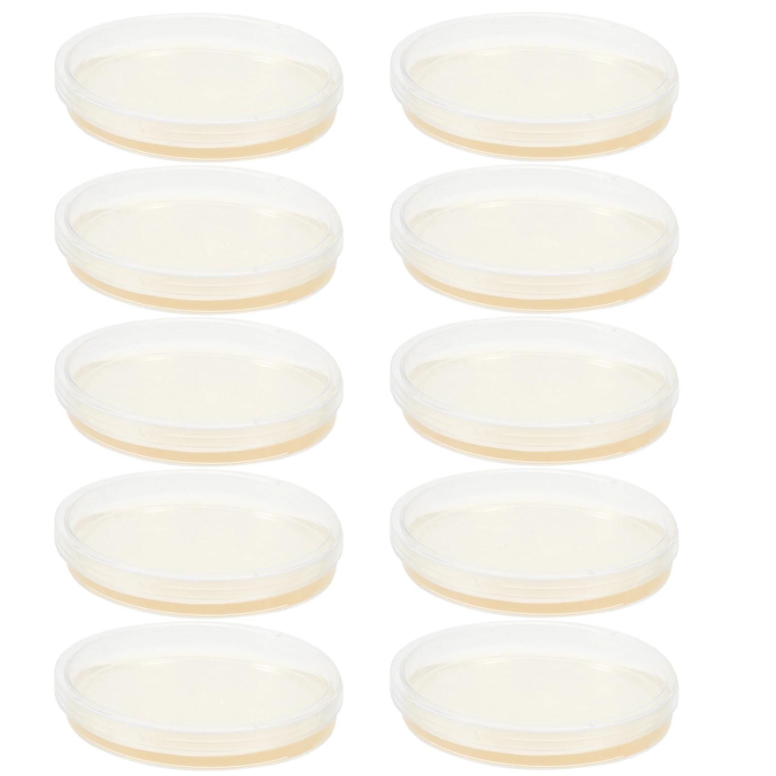 Placas de petri de ágar pré-vertidas portáteis, placas de petri de ágar, projetos científicos, prato de cultura de laboratório, teste de petri de plástico selado para crianças com 10 peças