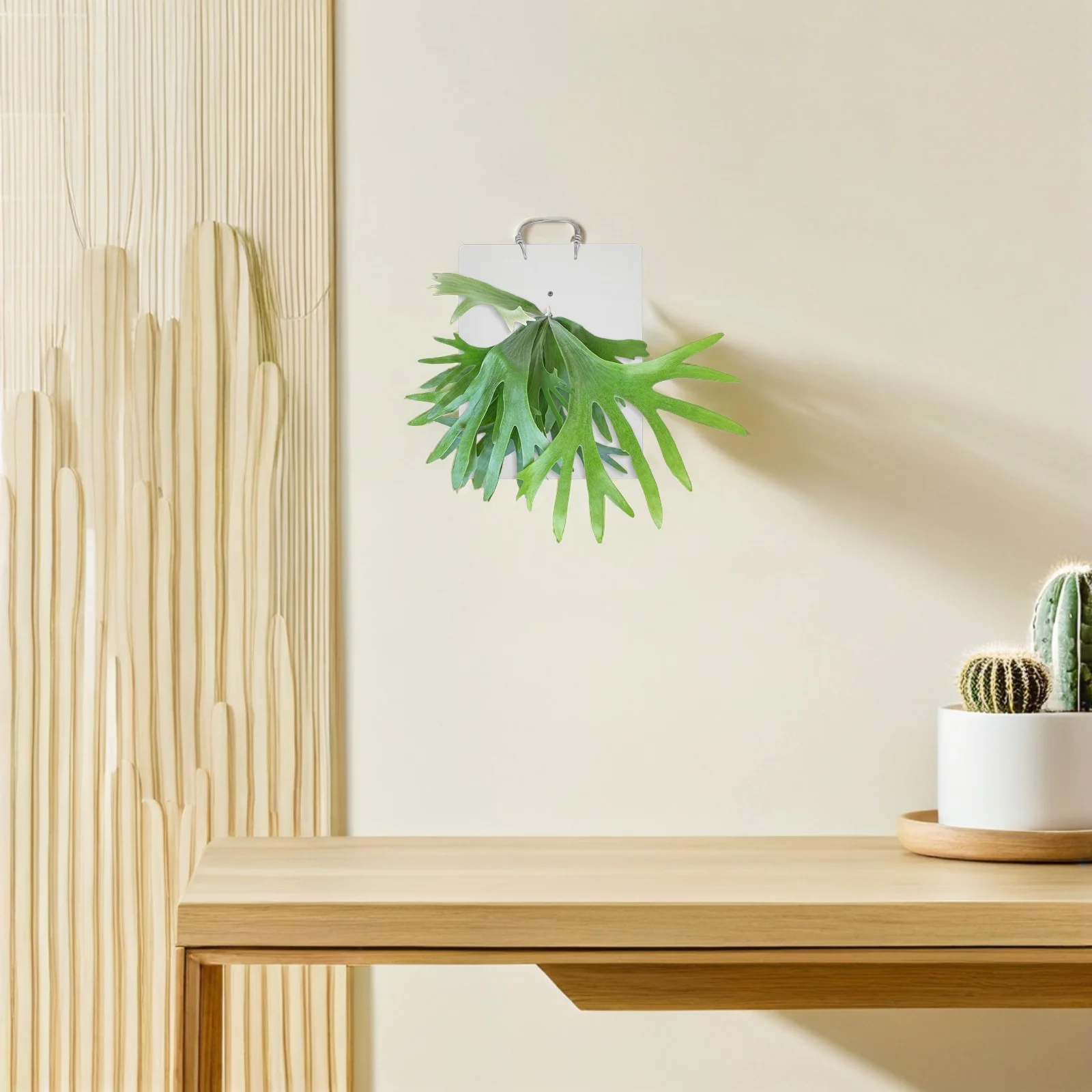 

Decorative Acrylic Fern Mounting Board 9.43x7.07x0.20in Wall Plant Holder Vertical Garden Display Air Plants Orchids