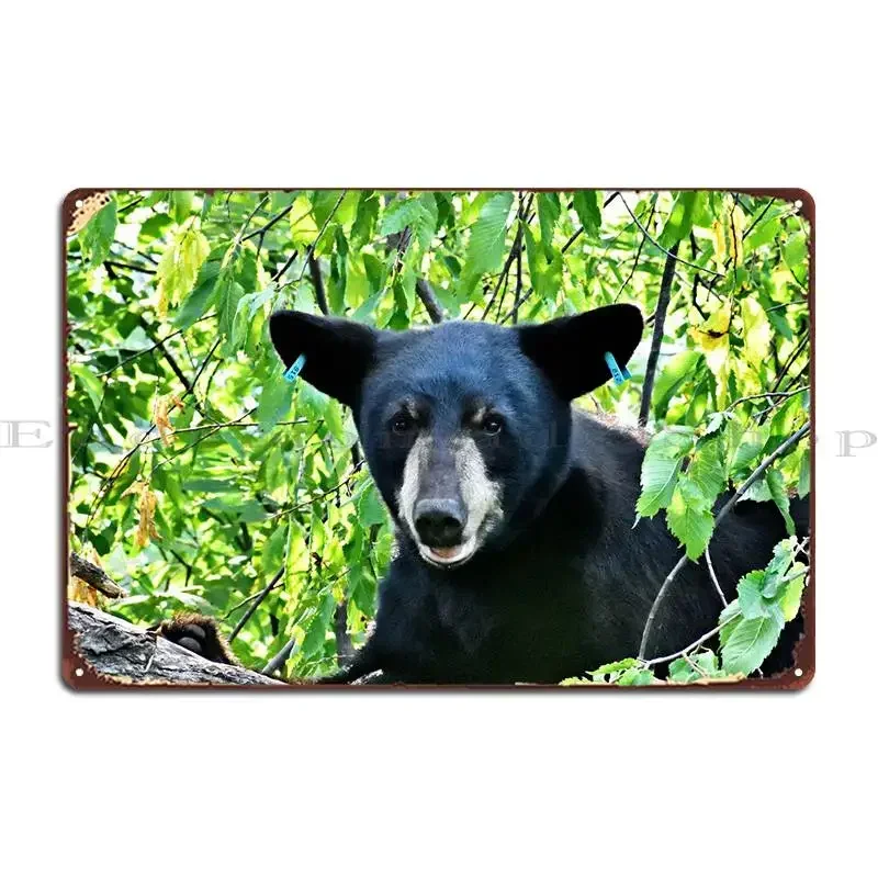 Gorgeous Black Bear Metal Sign Wall Cave Cinema Funny Personalized Design Pub Tin Sign Poster