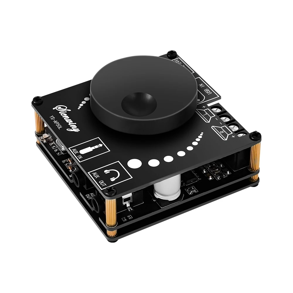 YS-AP50L 50W + 50W Mini Amplificatore Stereo Digitale 50WX2 Altoparlante Modulo Scheda Amplificatore di Potenza Bluetooth 5.1 AMP FAI DA TE