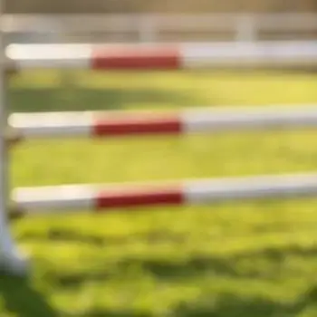 Competition Jump Holder For Horses Equestrian Training Pole Horse Jump Cup Easy Installation Lightweight  Competition
