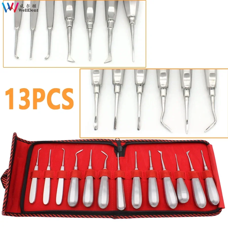 13Pcs Stainless Steel Dental Lift Minimally Invasive Tooth Extraction Straightening Curved Dental Lift Dentist Instruments Tool