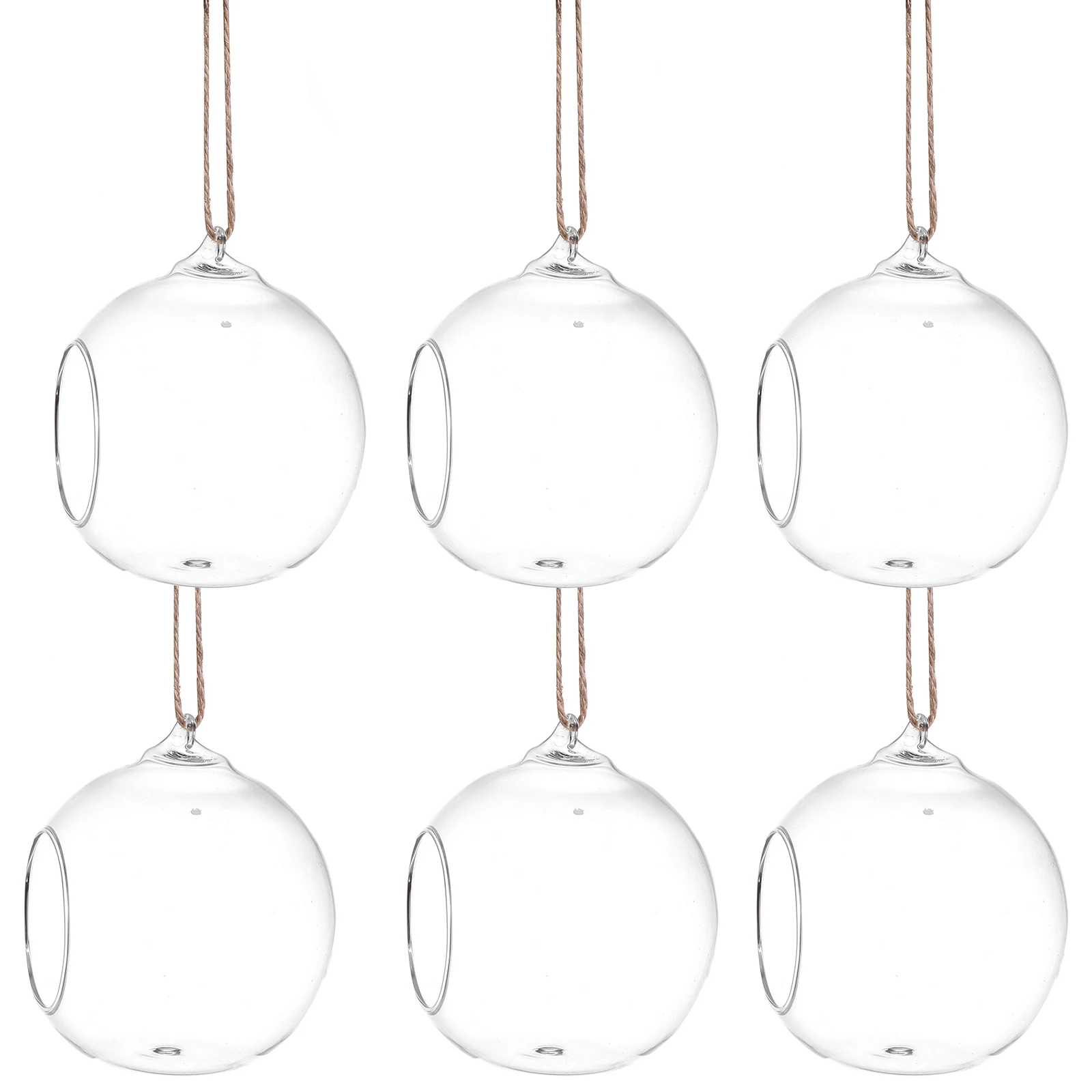 

6Pcs Glass Terrarium Holder Hanging Succulent Plant Display Vase Home Decoration Ornament Glass Terrarium Succulent Plant Vase