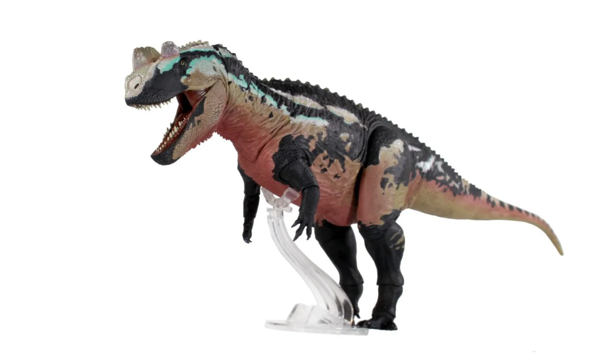 Beasts of the Mesozoic Studio 1/18th Scale Ceratosaurus Dentisulcatus Model Collection Scene Decoration Action Figure Gift view 4