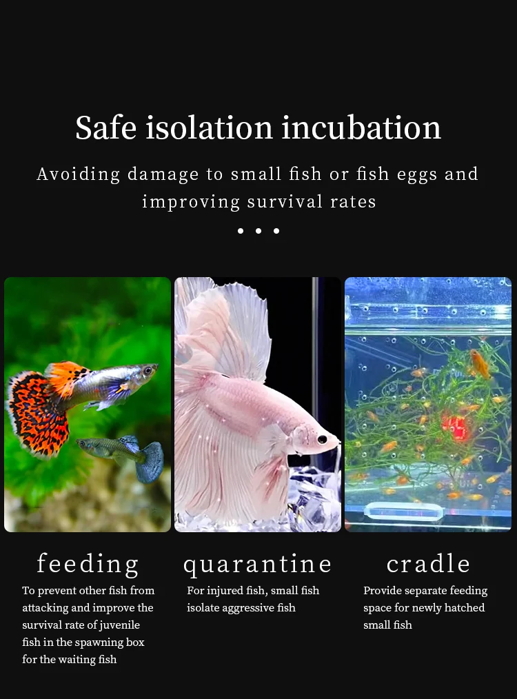 Hochtransparente Acryl-Fischisolationsbox, Mehrkammer-Kampffisch-Zuchtbox, Jungfisch-Brutkasten, Mehrzweck-Aquarium-Zucht- und Isolationsbox mit Saugnapf und Haken – Detail 4
