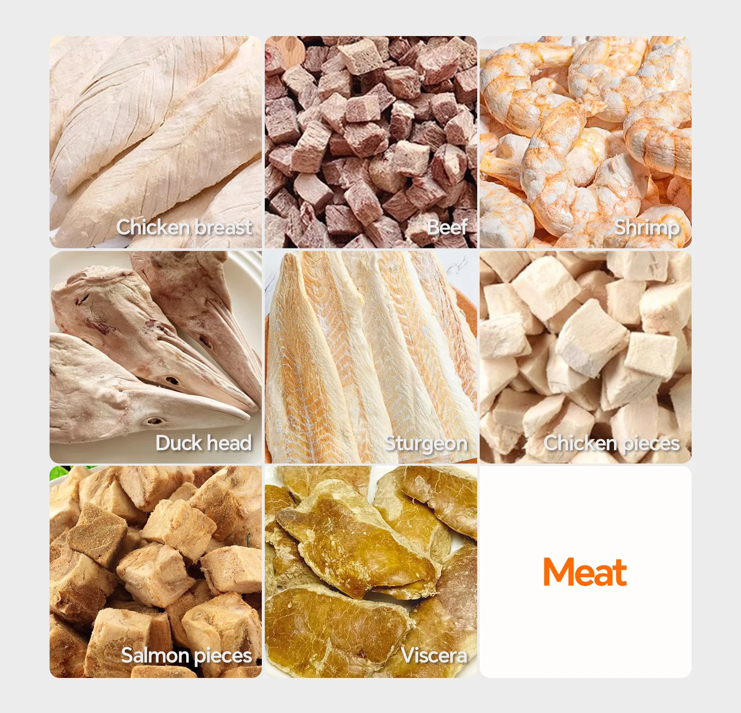 Factory Manufacturer 20kg Lyophilizer Vacuum Automatic Food Machine Home Freez e Dryer