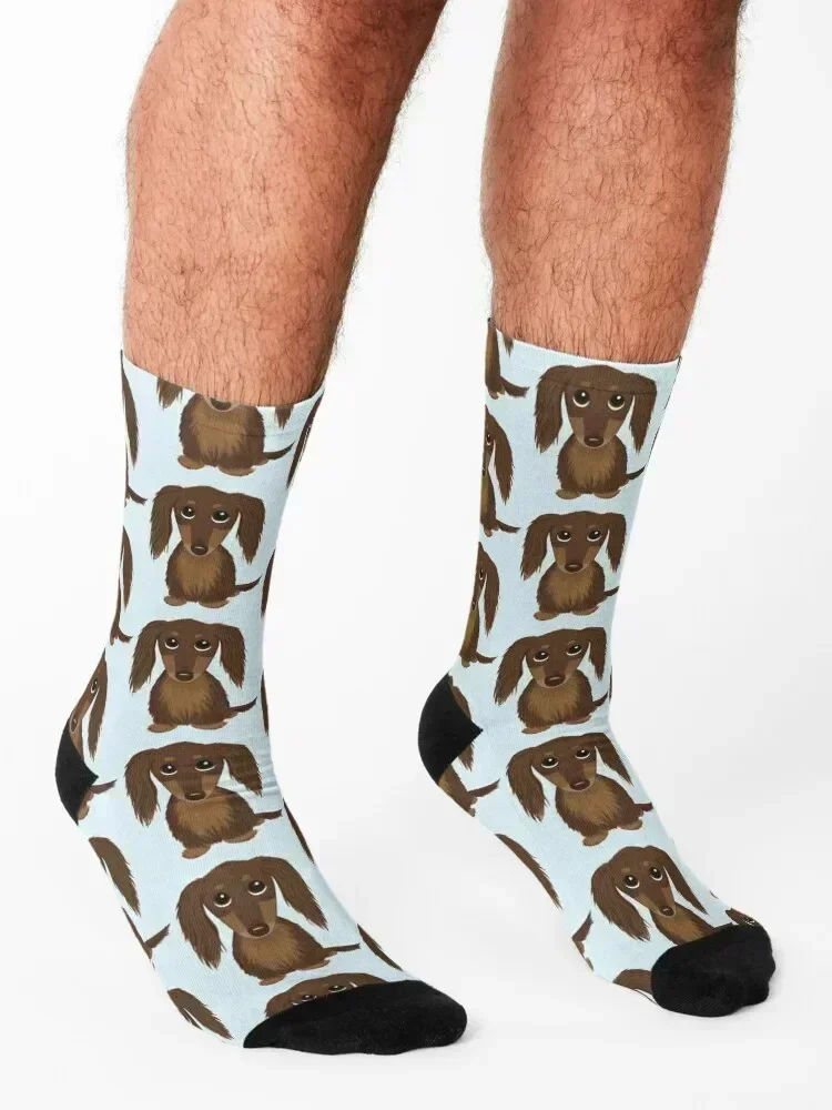 Longhaired Chocolate Brown Dachshund Cartoon Dog Socks kawaii christmas gift fashionable hiphop Men's Socks Women's