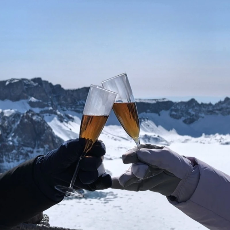 

Plastic Goblet, Transparent Champagne Glass, Easy To Carry, Suitable for Mountain Climbing and Outdoor Team Building