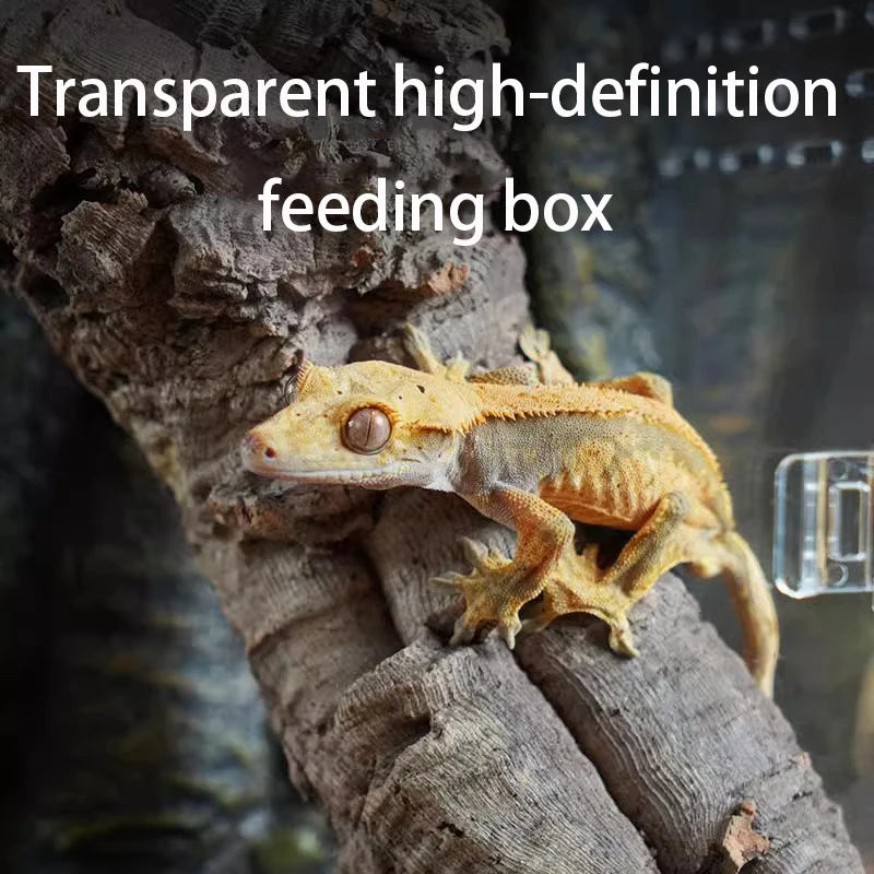 Reptile Terrariums Lizard Gecko Terrarium Front Opening Reptile Breeding Cage Mini Transparent Landscaping  Acrylic Arboreal Box - view 6