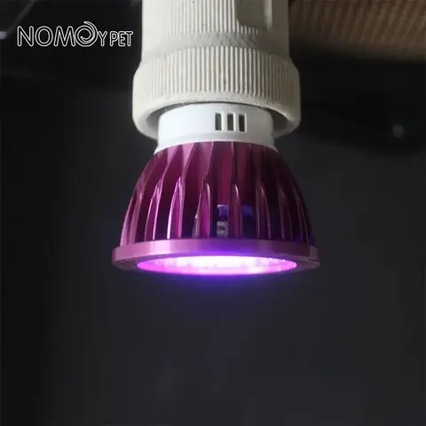 파충류 110/220V 거북이 도마뱀 뱀 밤 램프 모조 달빛 밤 수면 조명 파충류 양서류 애완 동물 액세서리