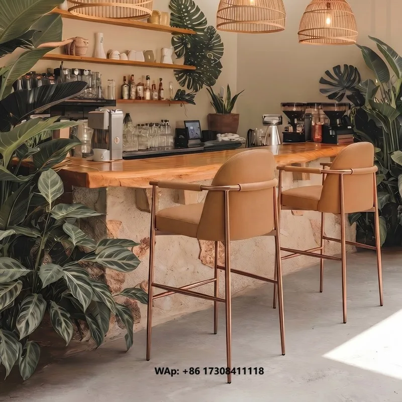 Light Luxury High-Back Bar Stool Non-Rotatable & Non-Adjustable Height Home Use Island Bar Chair