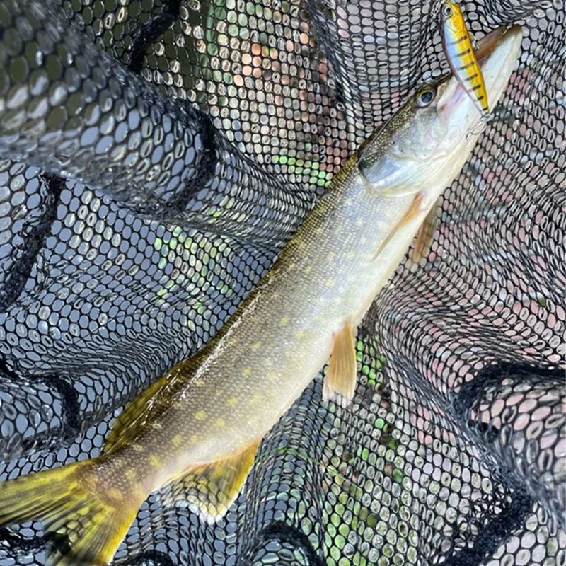 Neuer Jerkbait 120mm 18g Suspending Minnow Duo Realis Jerkbait 120SP Angelköder Künstlicher Wobbler Harter Köder für Barsch, Hecht, Forelle – Detail 1