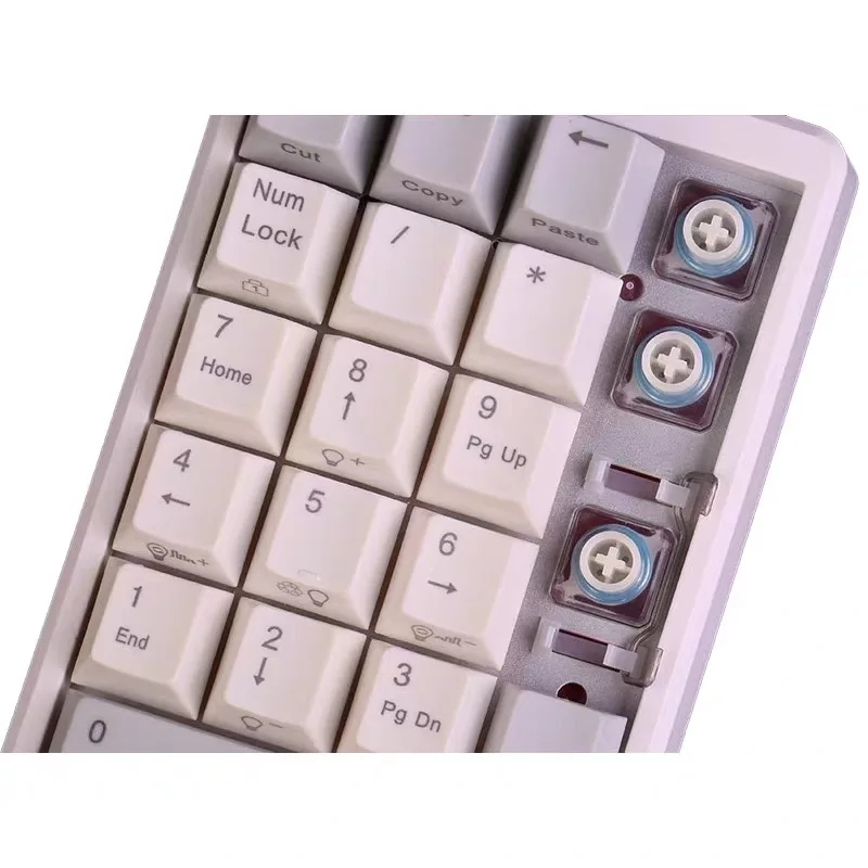 NIZ Static Capacitance Numeric Keyboard Plam 21 Key Wired Color Mixed Light 35g/45g Hot Swap Capacitive Button Office Keyboard