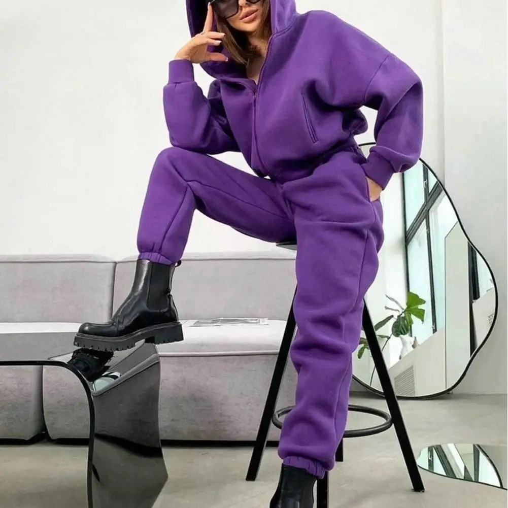 2 Pcs/Set Women Coat Pants Set Loose Zipper Elastic Waist Hooded Solid Color Warm Fleece Elastic Cuff Thick Autumn Tracksuit