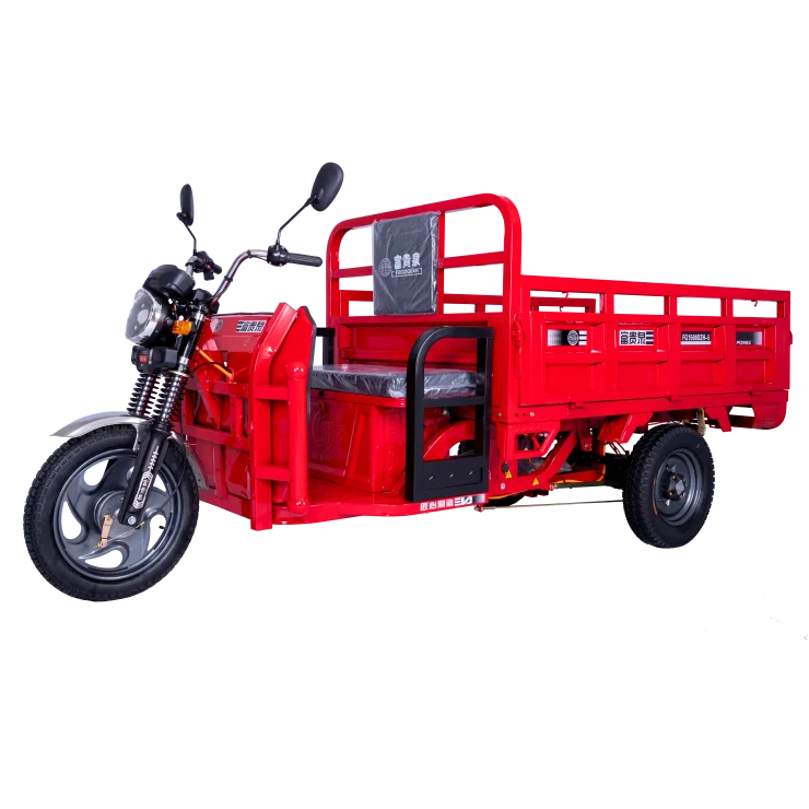 High Loding Capacity E-rickshaw Factory Direct Wholesale Tricycle 3 Wheel Electric Tricycle For Adults