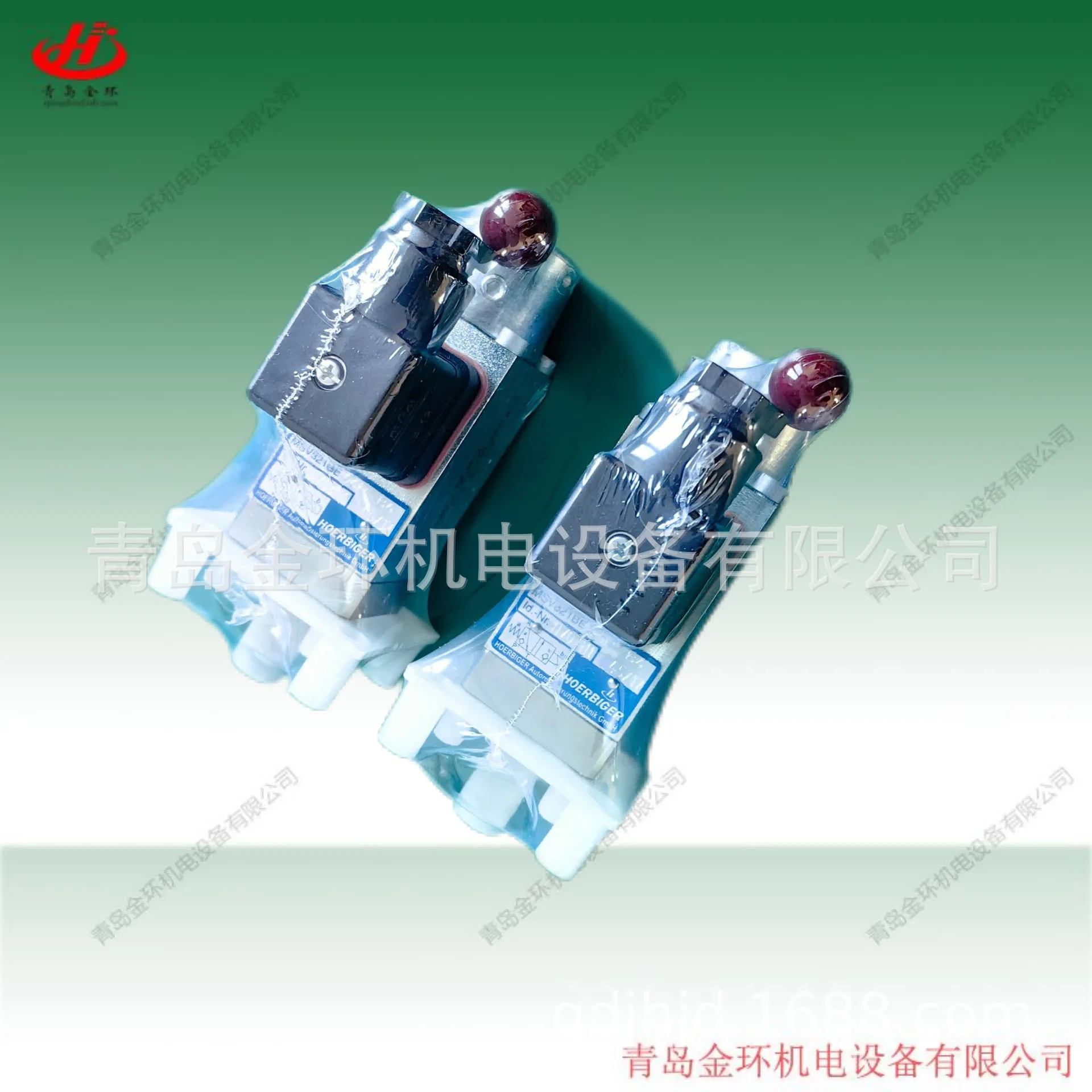 

Hoerbiger Hawe Msv321be06ph Msv322be06ph