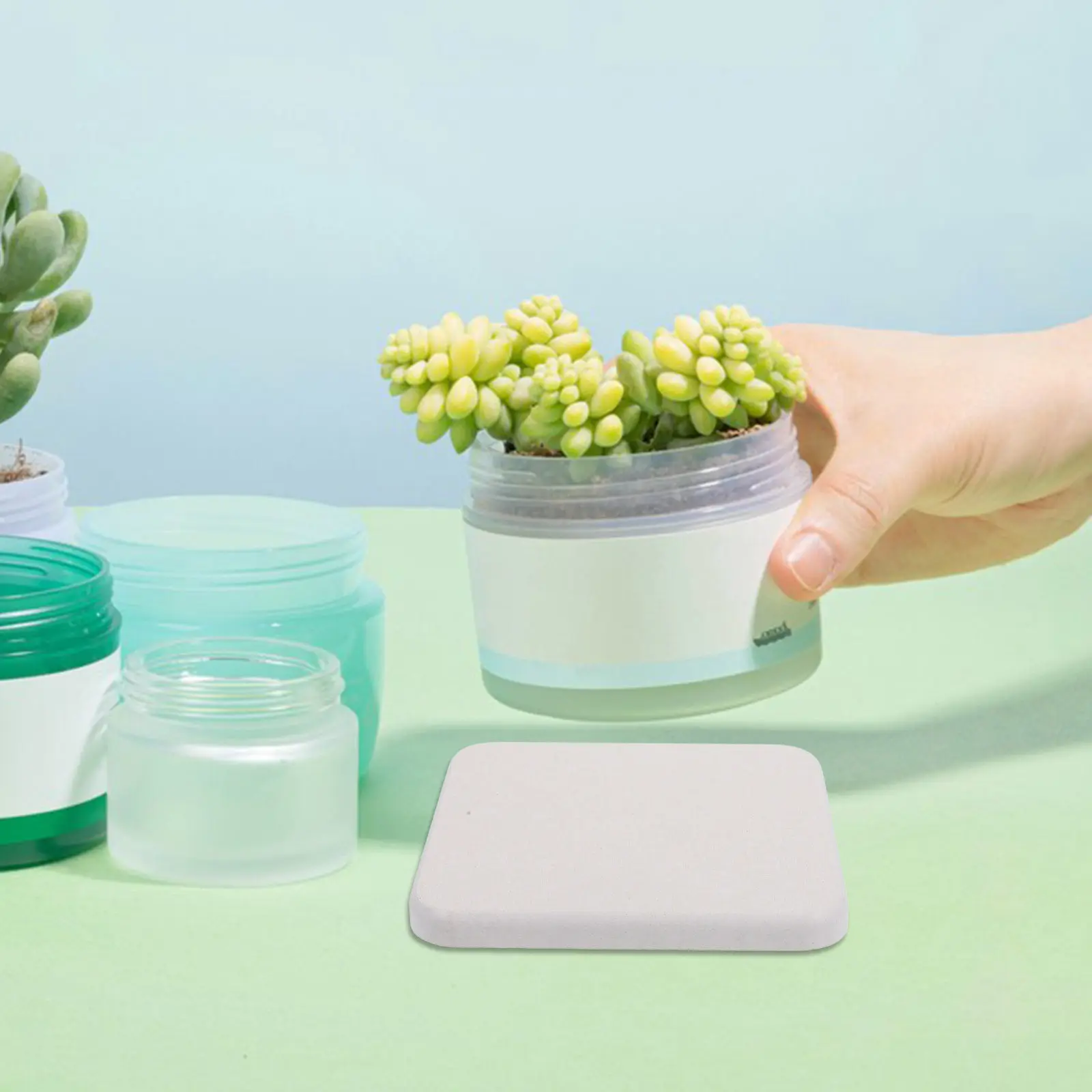 

5Pcs Diatomite Stone Plant Coasters Indoor Plant Tray 10x10cm Instant Dry Self Drying Absorbent Flower Pot Mats