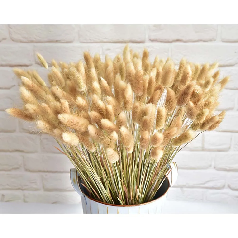 

3PCS Dried Grass Tail Bunny Natural Plants Decorative Flower Bouquet for Home Wedding Party Office Bedroom Cafe Balcony