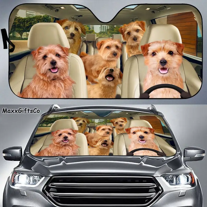 Norfolk Terrier Car Sun Shade, Norfolk Terrier Windshield, Dogs Family Sunshade, Dogs Car Accessories, Car Decoration, Dogs Love