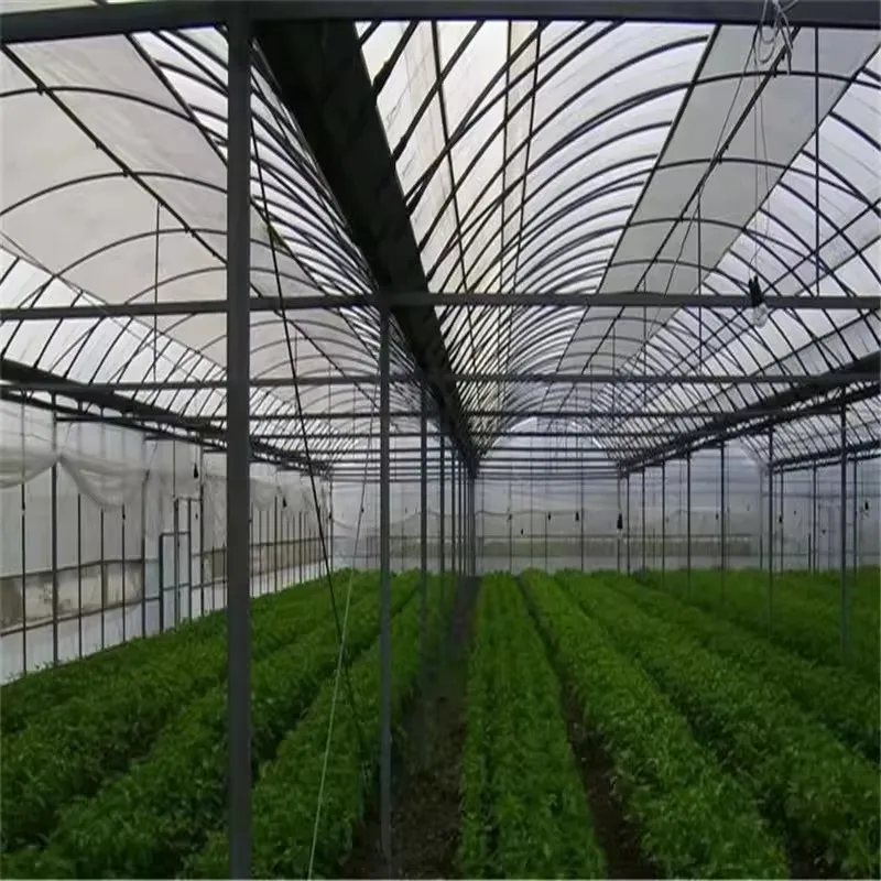 โรงเรือนเกษตรขนาดใหญ่พร้อมแผ่นพีซีสำหรับระบบไฮโดรโปนิกส์แบบหลายช่วง