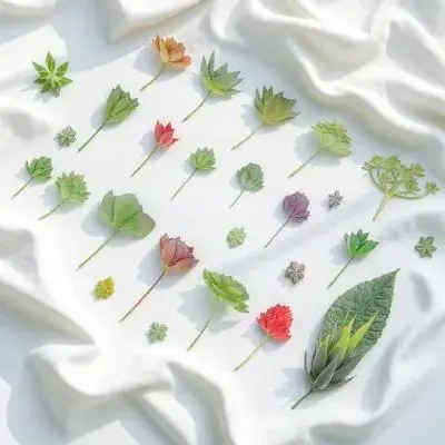 

18Pcs Faux Succulent Picks Realistic Touch Premium PVC Unpotted Artificial Succulents Plants Ideal for Craft Bouquet Centerpiece