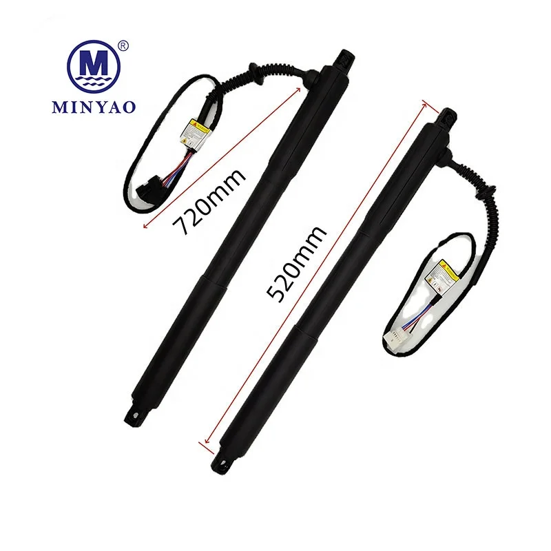 Automotive Steel Electric Liftgate Support Assembly Wear Resistant Body Spare Parts Compatible BMW X5 E70