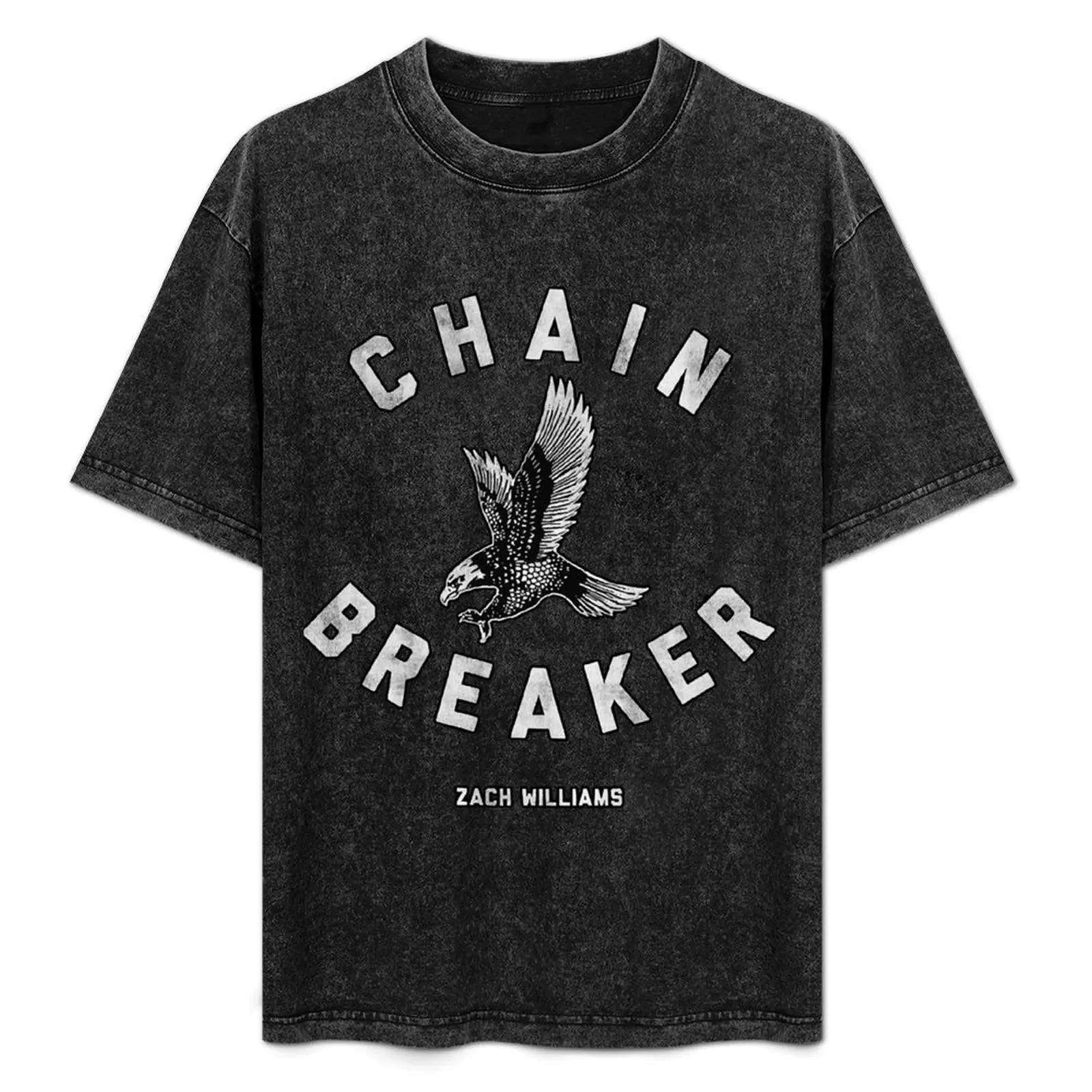 

Zach Williamsmen singerChristian rock logo Exselna T-Shirt Regular Fit Plain Tee Shirt