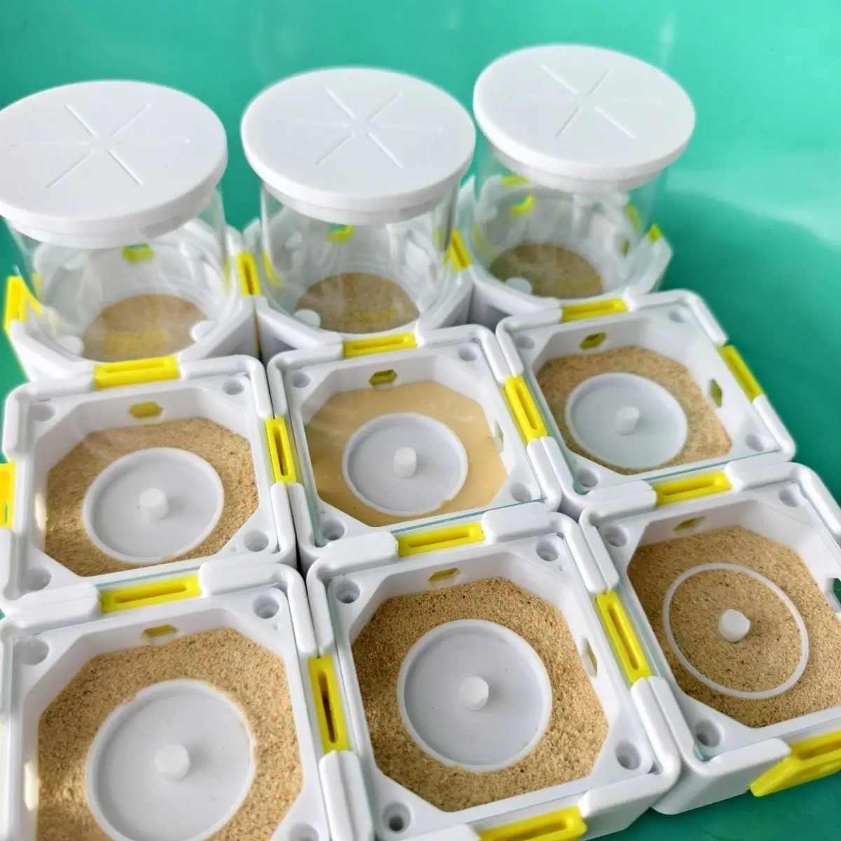 Round Infinite Pet Plane Ant Nest Insect Feeding Box Jiugongge Ant Three-dimensional Plane Nest