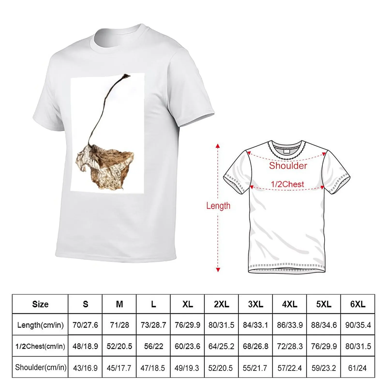 Dried Hosta Leaf T-Shirt plus size clothes cheap stuff croswit shirt man blue lock mens tall t shirts