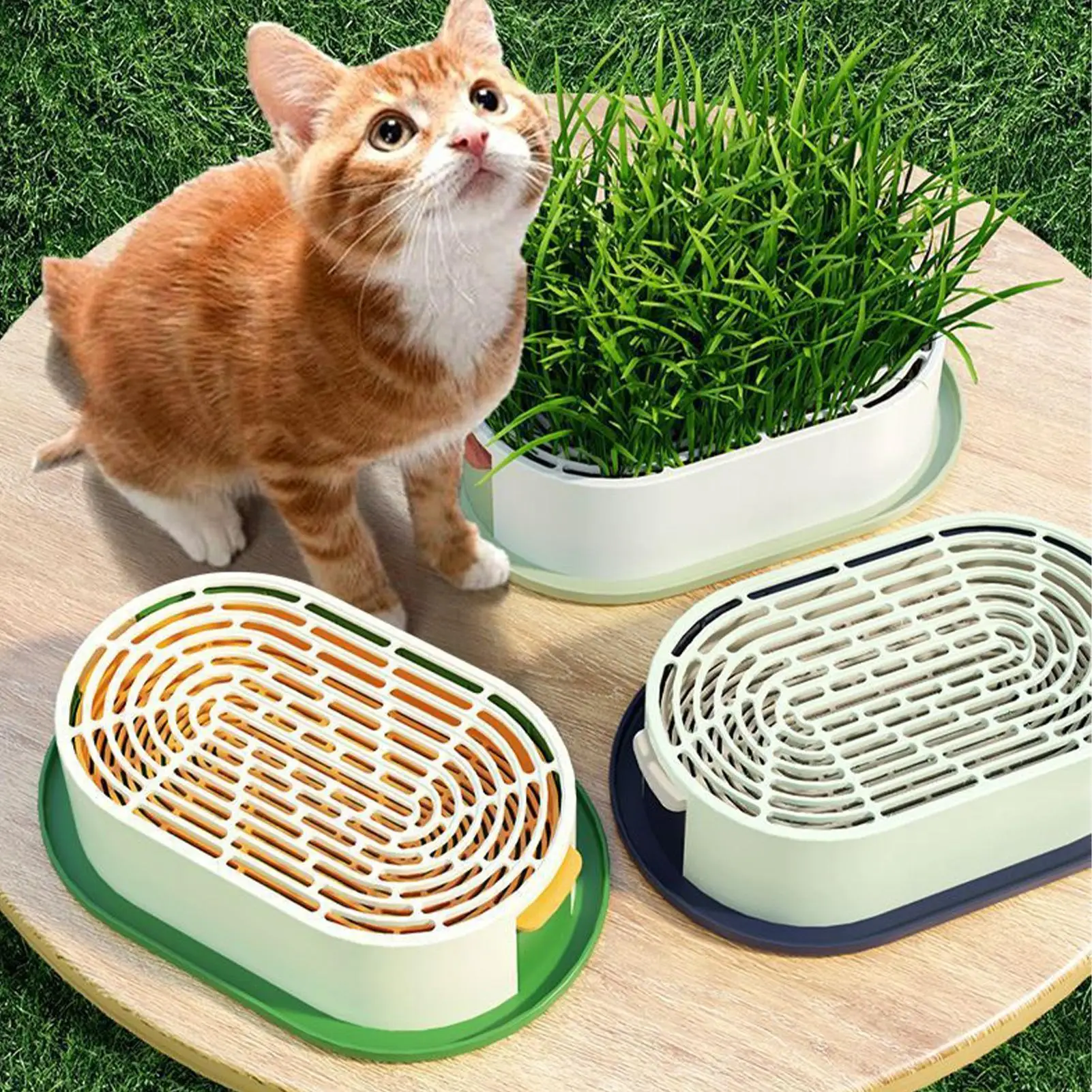cat grass growing box cat grass tray Cat Treats Hydroponic Soilless Cat Grass Planting Set Cat Grass Planter Planting Pot