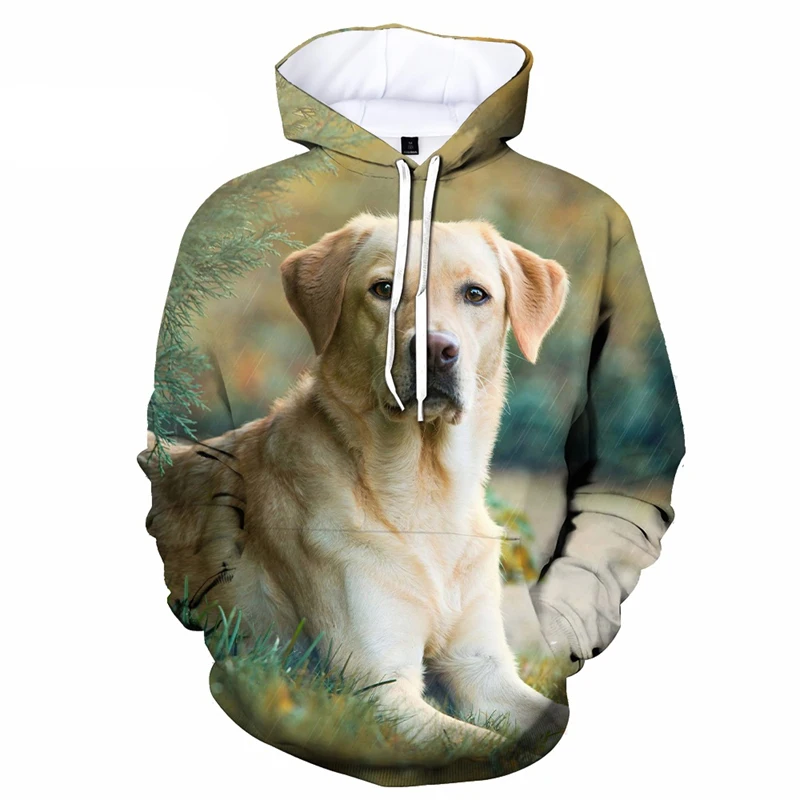 Funny Cute Labrador Animal 3D Printed Men's Hoodies Outdoor Casual Comfortable Sweatshirt Outdoor Personality Pullover Hoodie