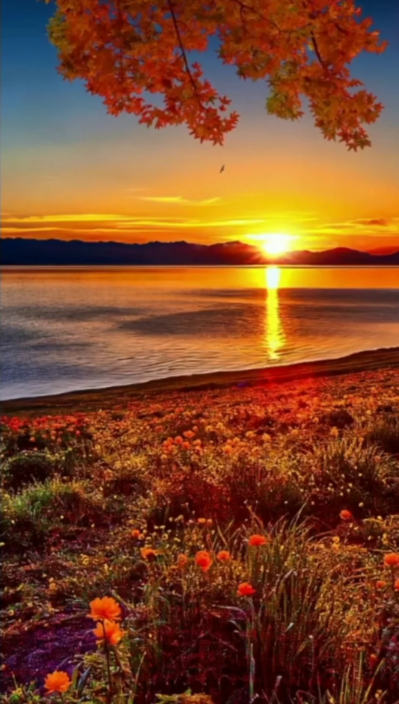 

8.4 inch LCD Android 14 8+128G Car radio with Multimedia CarPlay Stereo DSP For Land Rover Discovery 3 2004-2009 GPS Navigation