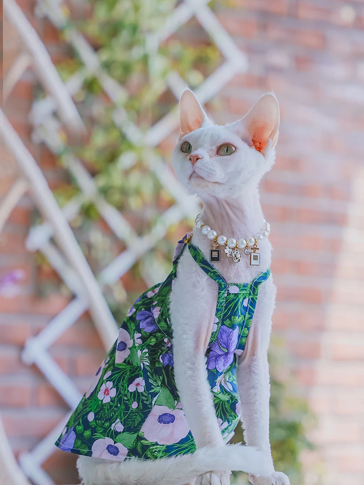 Colete de algodão para gato Sphynx, camiseta sem mangas para gatinhos, macacão macio para Devon Rex, primavera gato suprimentos, verão