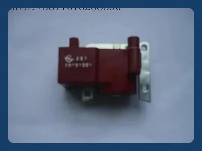 

ignition coil for outboard motor Selva ZONGSHEN FOR 6/9.9/ 15/18/25/30 2 STROKE universal