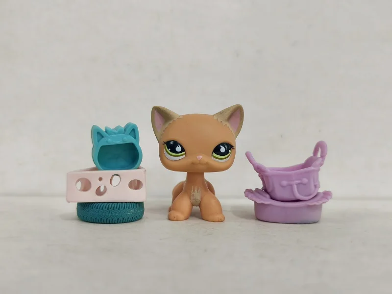 Littlest Pet Shop Figure LPS Orange cat #790 W/5pcs Accessories for kid Toy