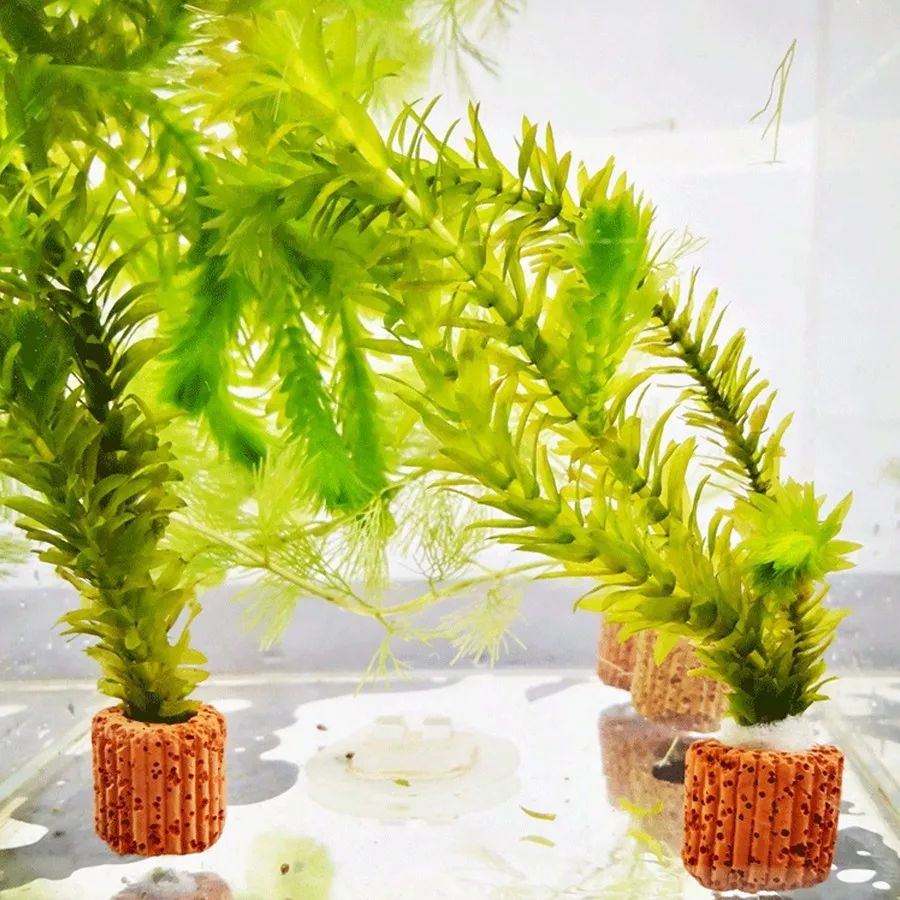 حلقات تثبيت نباتات حوض السمك عالية الجودة - حلقات التنفس للنباتات المائية تضمن الاستقرار والصحة في المناظر المائية