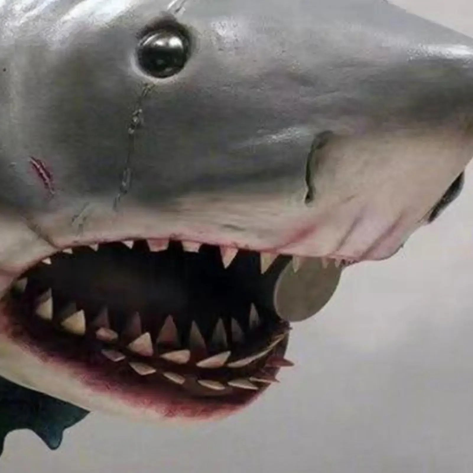 Shark Wall Sculpture 12x9x9cm Resin Wall Mounted Shark Ornament Marine Animal Theme Sculpture Decoration For Hotel Office