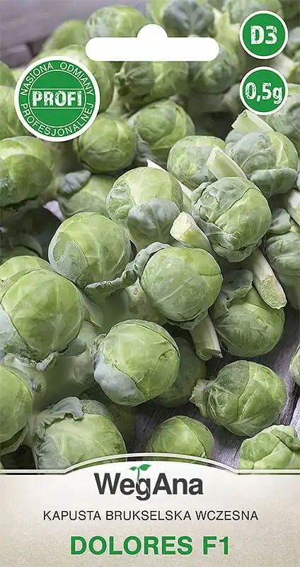 Brussel cabbage Dolores (F1) 0.5g VegAna vegetable cabbage seeds