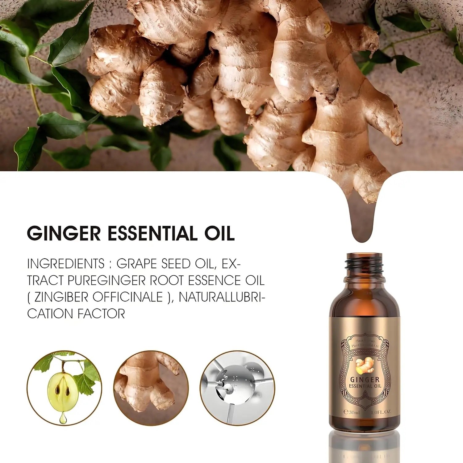 Ätherisches Ingweröl 30 ml – Natürlicher Pflanzenextrakt zur Hauterneuerung, Aromatherapie, Massage und Heißkompressentherapie
