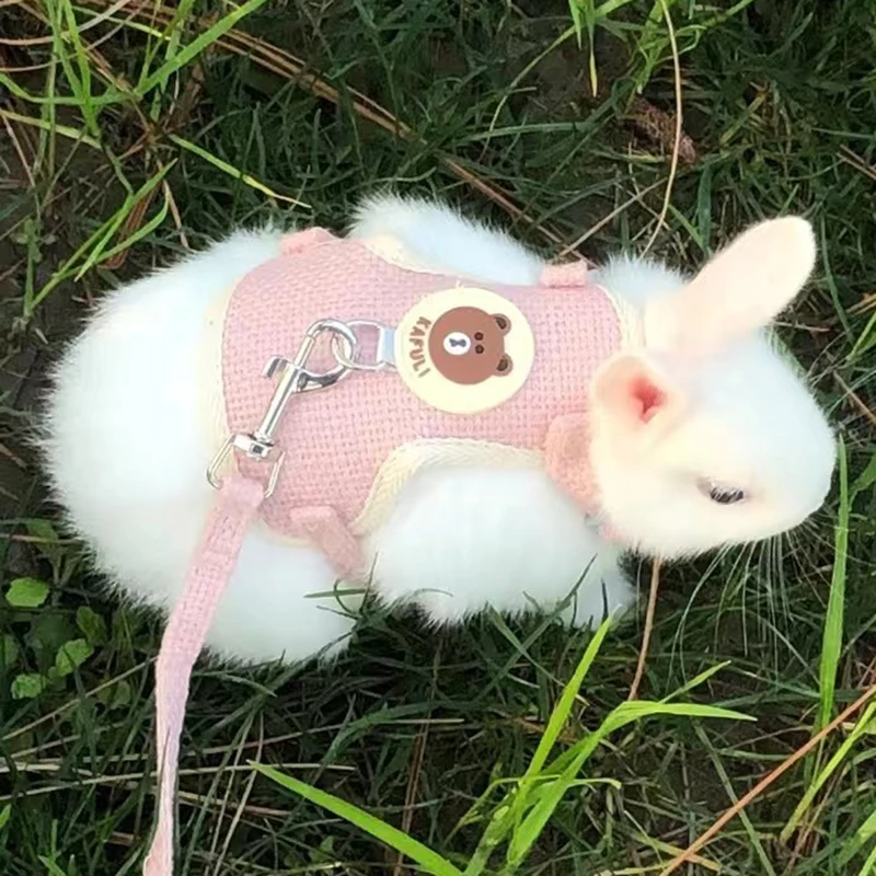 Cartoon Print Cat Rabbit Harness and Leash Set Bunny Rabbits Pet Accessories Bunnies Vest Clothes lapin accessoires pour animaux